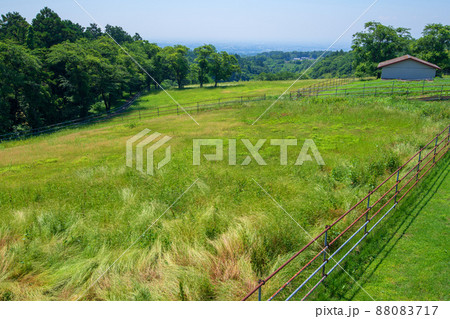グリーンフラワー牧場 展望塔からの眺め 前橋市方向 初夏の風景 グリーンフラワー牧場 展望塔からの眺め 前橋市方向 初夏の風景 88083717