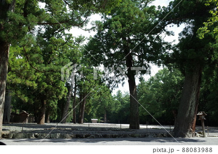 古殿地_外宮_伊勢神宮 88083988