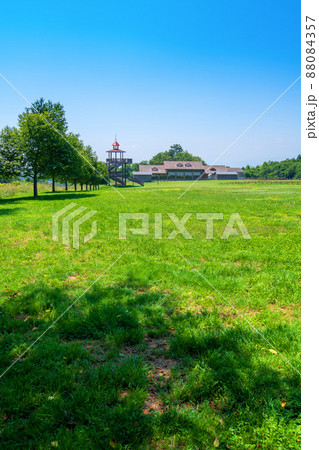 グリーンフラワー牧場 展望塔 牛舎 初夏の風景 グリーンフラワー牧場 展望塔 牛舎 初夏の風景 88084357
