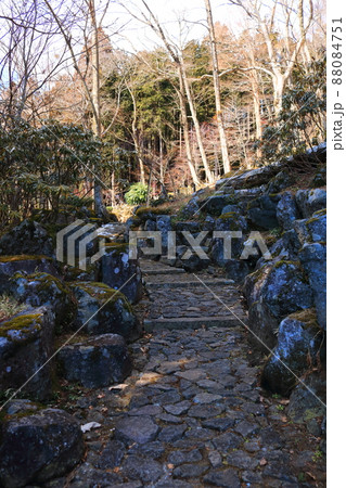 冬の山寺の山道の石段 88084751