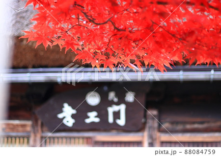 白川郷の紅葉と民宿 88084759