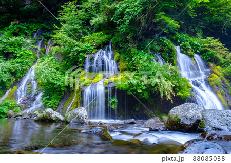 吐竜の滝（夏） 88085038