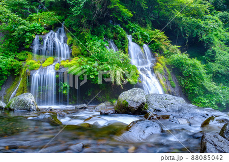 吐竜の滝（夏） 88085042