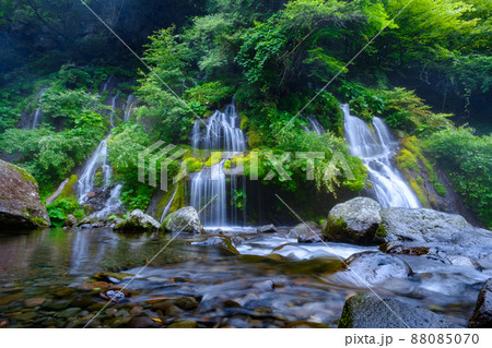 吐竜の滝（夏） 88085070