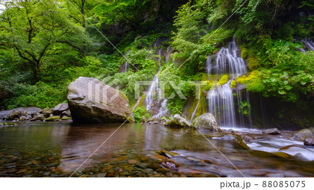 吐竜の滝(夏) 吐竜の滝(夏) 88085075