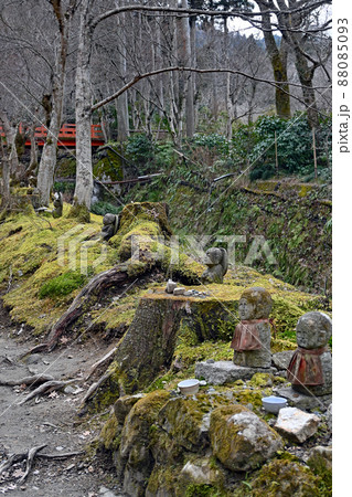 【寺社仏閣】京都大原三千院　庭園 88085093