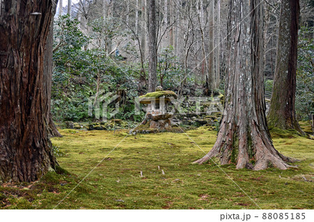 【寺社仏閣】京都大原三千院　庭園 88085185