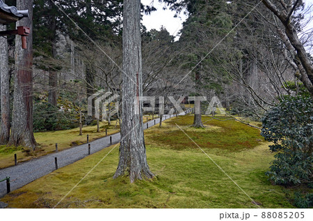 【寺社仏閣】京都大原三千院　庭園 88085205