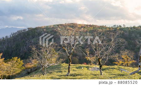 西日を浴びて輝く日出ヶ岳山頂の晩秋の情景＠奈良 88085520