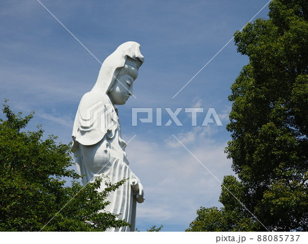 高崎白衣大観音 88085737