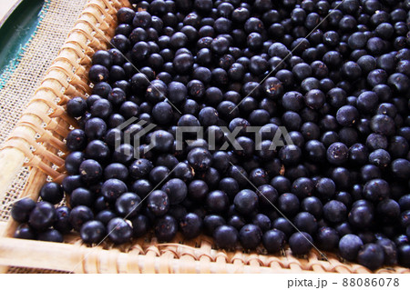 アマゾン産のアサイー　ブラジル 88086078