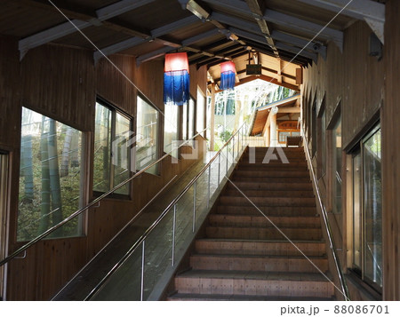 竹林の中にあるレトロな日本家屋の廊下階段 竹林の中にあるレトロな日本家屋の廊下階段 88086701