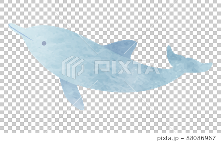 イルカのベクターイラスト イルカのベクターイラスト 88086967
