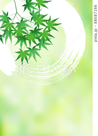 新緑　もみじ　葉　背景 88087166
