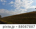 雲の反射と堤防から見える空 雲の反射と堤防から見える空 88087887