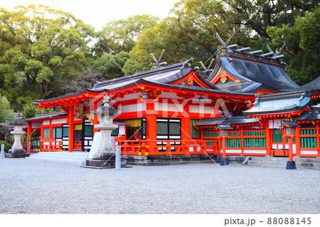 熊野速玉大社 88088145