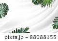 Tropical leaves banner on white background with copy space 88088155