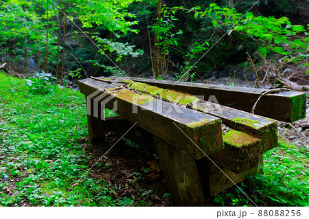 苔に侵食され朽ちた森の中の木製のベンチ 88088256