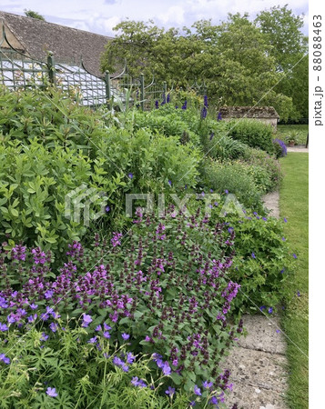 イギリス　ボートン・ハウス・ガーデン　と　庭の花々 88088463