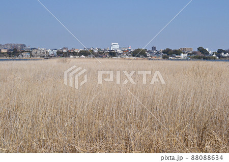 我孫子市の町並と手賀沼の景色　対岸の柏市側から見る 88088634