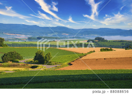 丘の町・美瑛の美しい田園風景 丘の町・美瑛の美しい田園風景 88088656