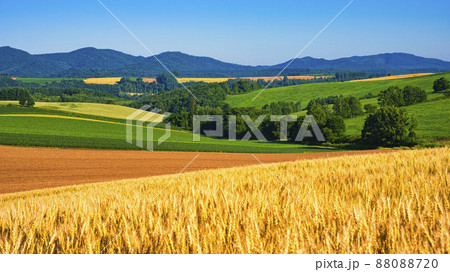 丘の町・美瑛の美しい田園風景 88088720