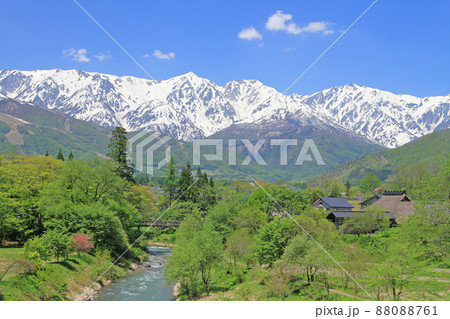 白馬の5月　大出公園と北アルプス 88088761