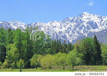 白馬の5月　山麓から望む北アルプス 88088762