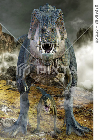 大きなティラノサウルスと子供の親子恐竜が正面を向く 88089320