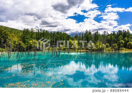 青い池（美瑛） 青い池】アクセス・営業時間・料金情報 - じゃらんnet