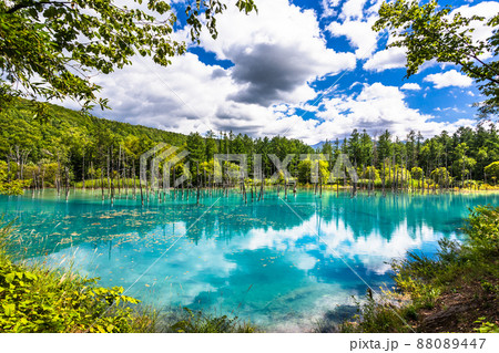 青い池（美瑛） 青い池】アクセス・営業時間・料金情報 - じゃらんnet