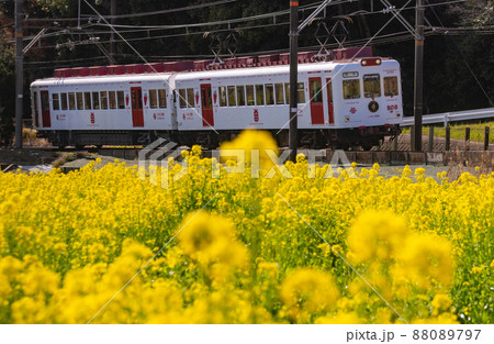 和歌山電鐵 いちご電車 和歌山県和歌山市 和歌山電鐵 いちご電車 和歌山県和歌山市 88089797