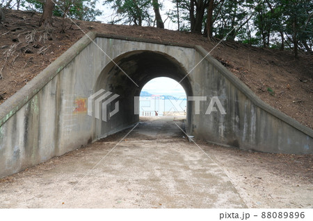 発電所跡への入口から見た風景1　広島県竹原市大久野島 88089896