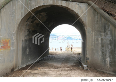 発電所跡への入口から見た風景2　広島県竹原市大久野島 88089897