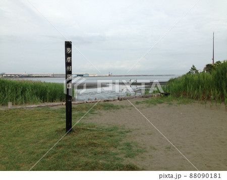 多摩川の河口 多摩川の河口 88090181
