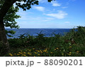 濃い緑と濃い青の海 濃い緑と濃い青の海 88090201