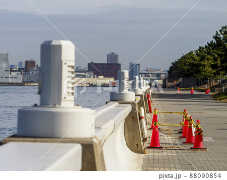 コスモスクエア海浜緑地の風景 コスモスクエア海浜緑地の風景 88090854