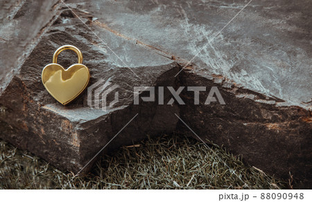 Golden heart shaped love padlock on Huge stone over grass background.  88090948