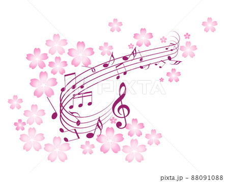 白背景に桜と五線譜 白背景に桜と五線譜 88091088