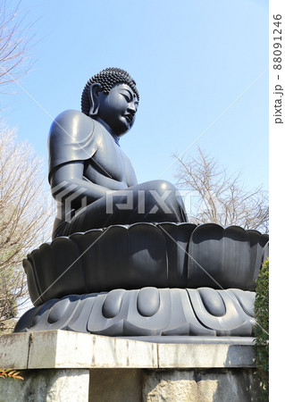 乗蓮寺（じょうれんじ） の東京大仏　東京都板橋区赤塚　 88091246
