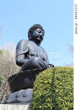 乗蓮寺（じょうれんじ） の東京大仏　東京都板橋区赤塚　 88091247