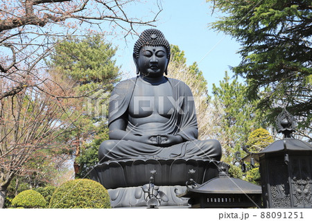 乗蓮寺(じょうれんじ) の東京大仏 東京都板橋区赤塚 乗蓮寺(じょうれんじ) の東京大仏 東京都板橋区赤塚 88091251