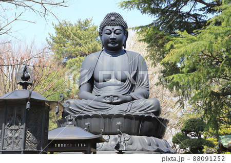 乗蓮寺（じょうれんじ） の東京大仏　東京都板橋区赤塚　 88091252