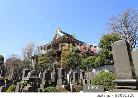 乗蓮寺(じょうれんじ) 本堂 東京都板橋区赤塚 乗蓮寺(じょうれんじ) 本堂 東京都板橋区赤塚 88091326
