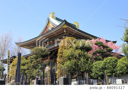 乗蓮寺（じょうれんじ） 本堂　東京都板橋区赤塚　 88091327
