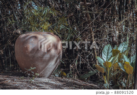 Old big earthen jar or Large vintage clay jar for water storage on the ground in the garden with lots of green tree nature. Old big earthen jar or Large vintage clay jar for water storage on the ground in the garden with lots of green tree nature. 88091520