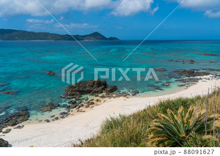 奄美大島の打田原海岸 奄美大島の打田原海岸 88091627