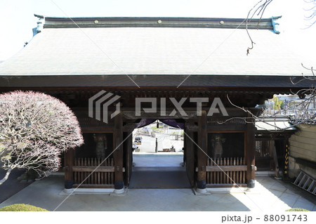 赤塚山乗蓮寺（じょうれんじ）本堂から見た山門 88091743