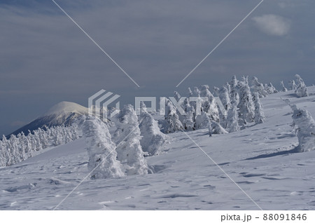 春の八幡平の樹氷原と岩手山 春の八幡平の樹氷原と岩手山 88091846