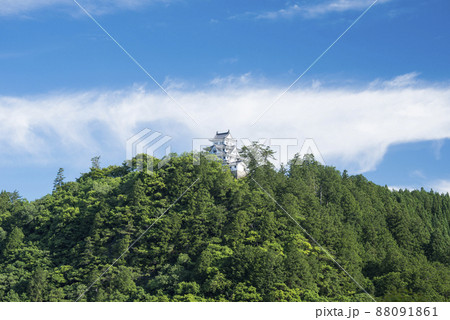 城山に郡上八幡城 城山に郡上八幡城 88091861